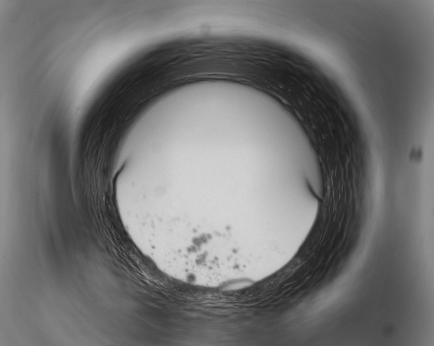 X0000115210146200912091205