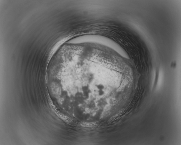 X0000115210147200912091205