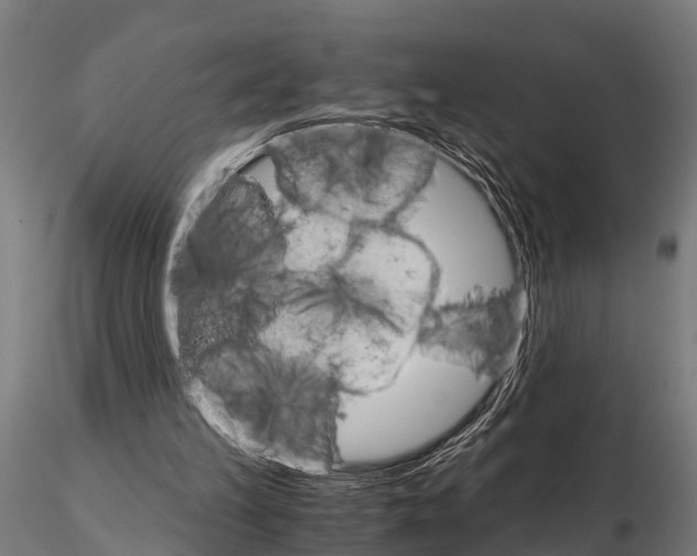 X0000115210149200912091206