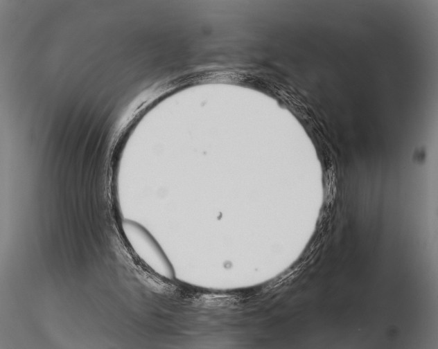 X0000115210150200912091206