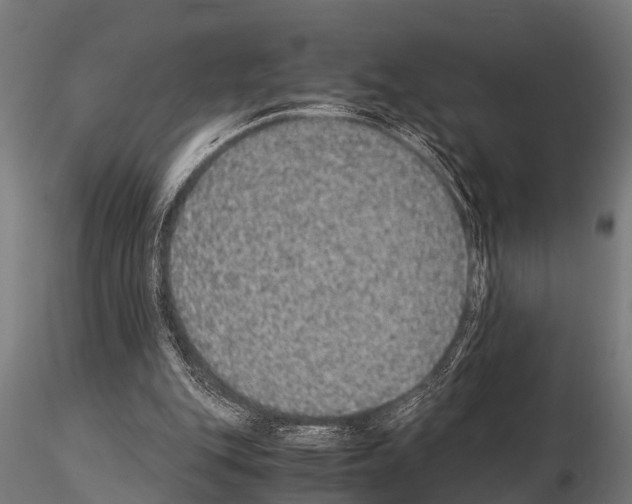 X0000115210151200912091206