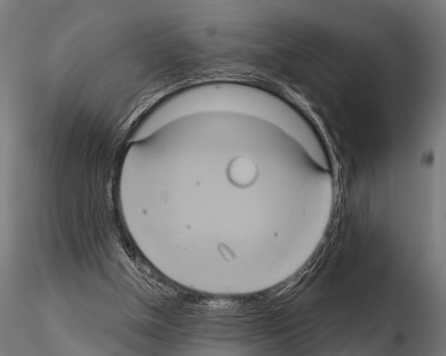 X0000115210154200912091206