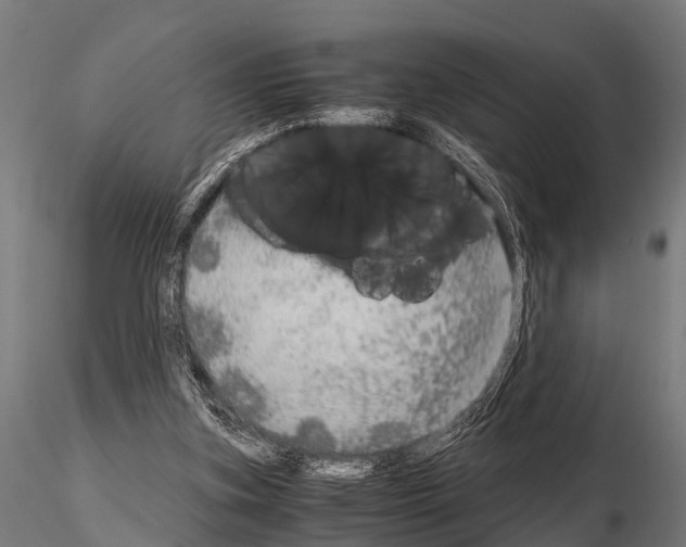 X0000115210155200912091206