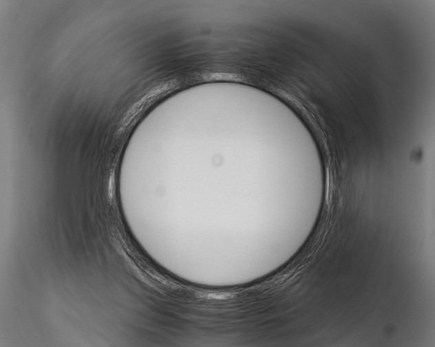 X0000115210157200912091206