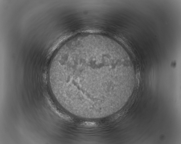 X0000115210159200912091206