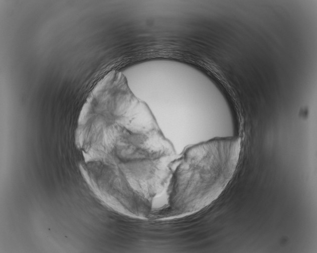 X0000115210161200912091206