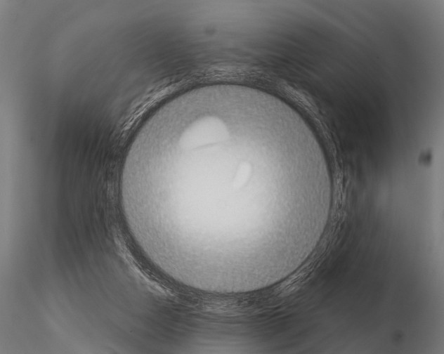 X0000115210162200912091206