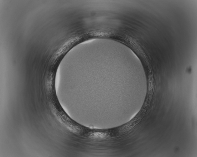 X0000115210163200912091206