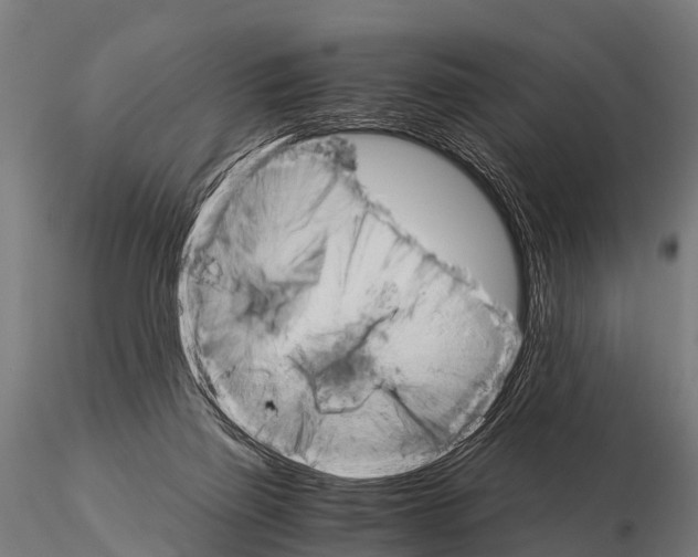 X0000115210165200912091206