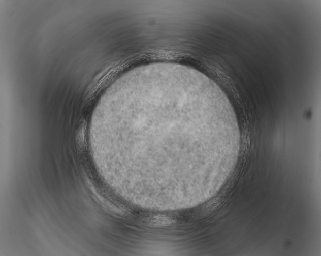 X0000115210166200912091206