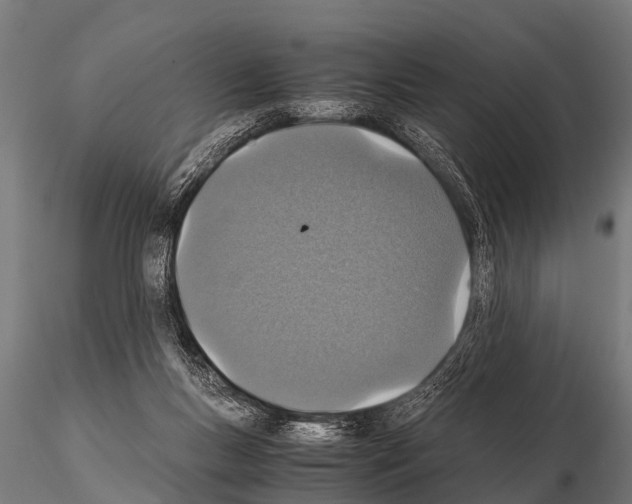 X0000115210167200912091206