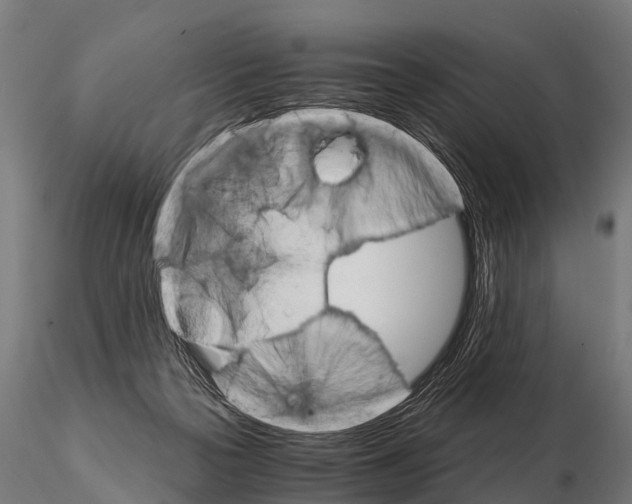 X0000115210169200912091206