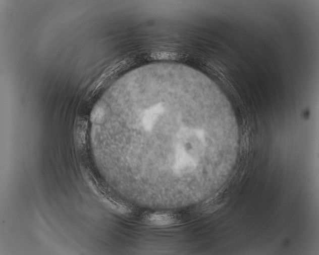 X0000115210171200912091206