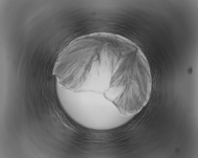 X0000115210173200912091206