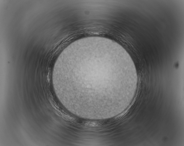 X0000115210174200912091206