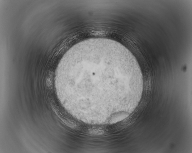 X0000115210175200912091206