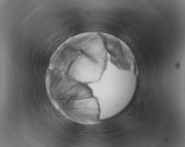 X0000115210177200912091206