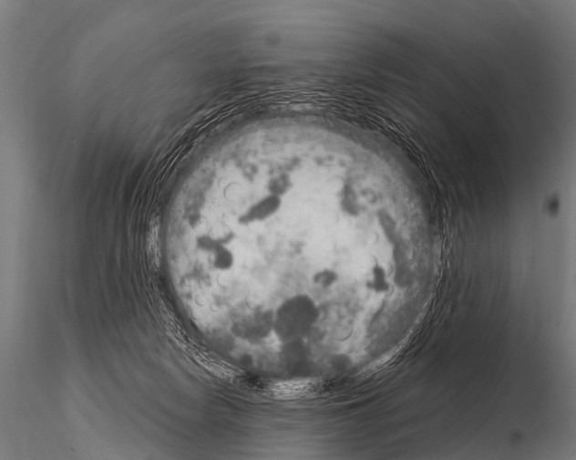 X0000115210178200912091206