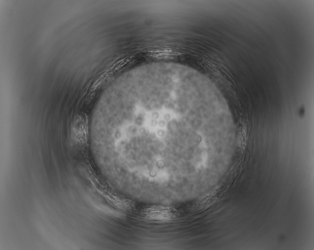 X0000115210179200912091206