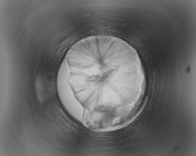 X0000115210181200912091206