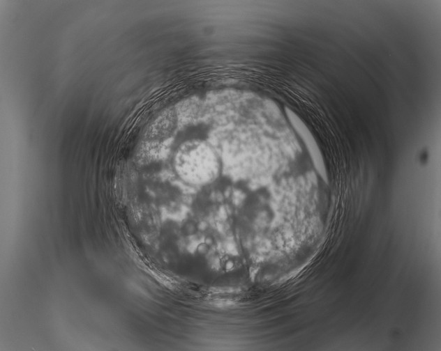 X0000115210182200912091206