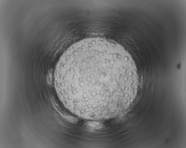 X0000115210183200912091206