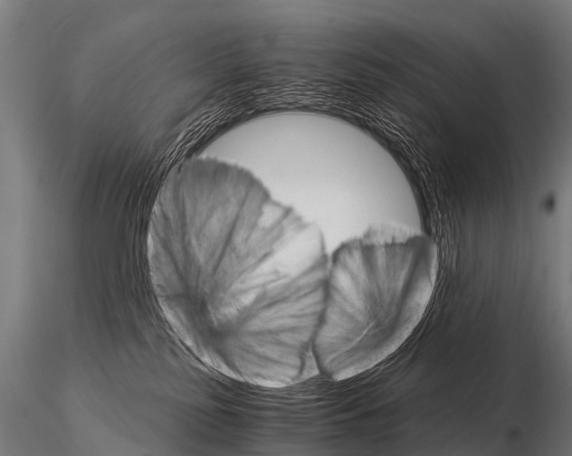 X0000115210185200912091206