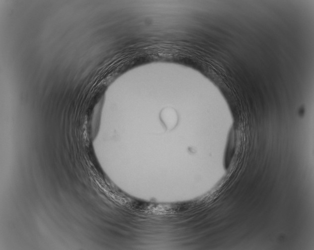 X0000115210186200912091206