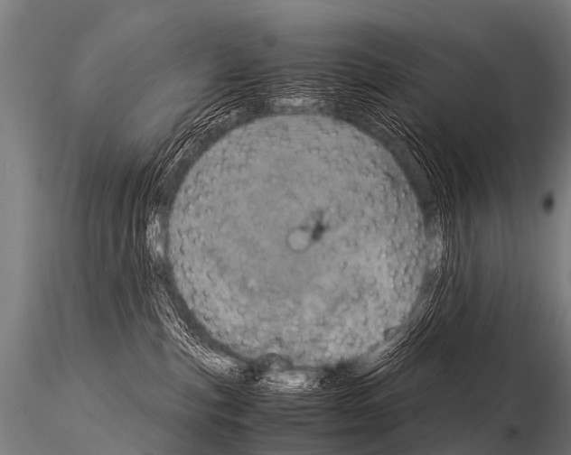 X0000115210187200912091206