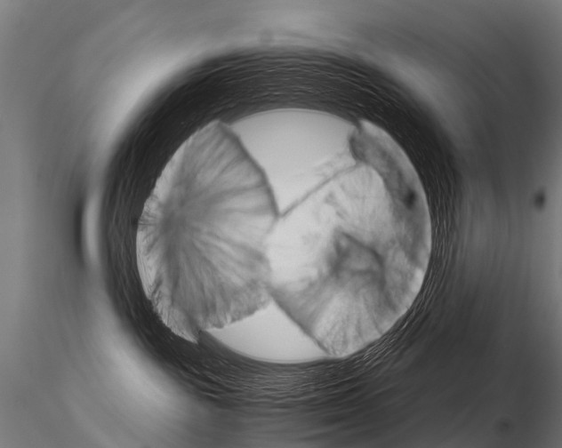 X0000115210189200912091206