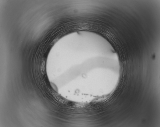 X0000115210190200912091206