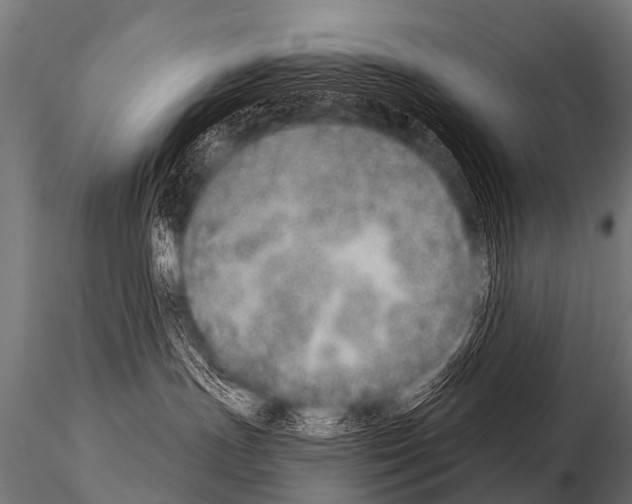 X0000115210191200912091206