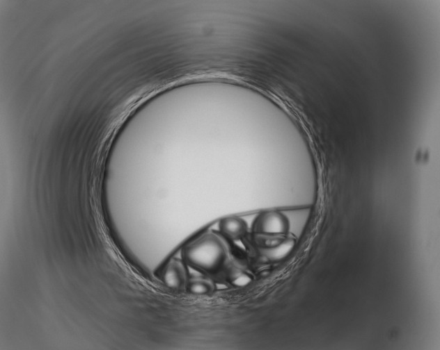 X0000115210193200912091205