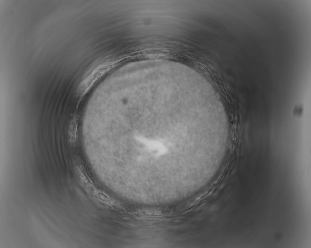 X0000115210194200912091205