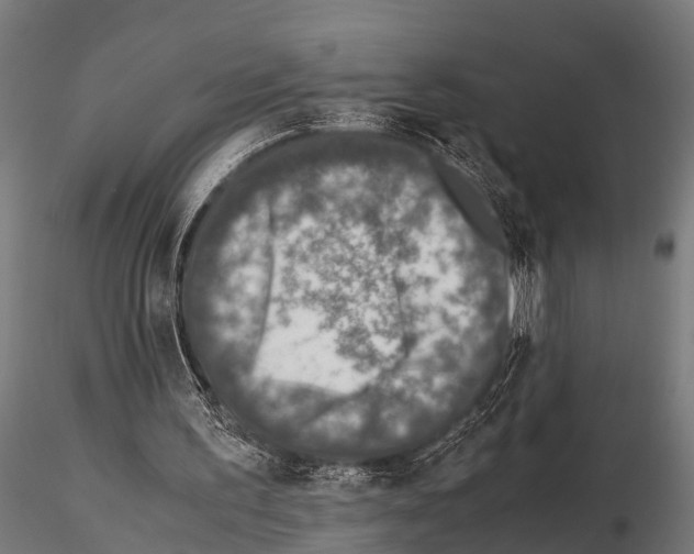 X0000115210195200912091205