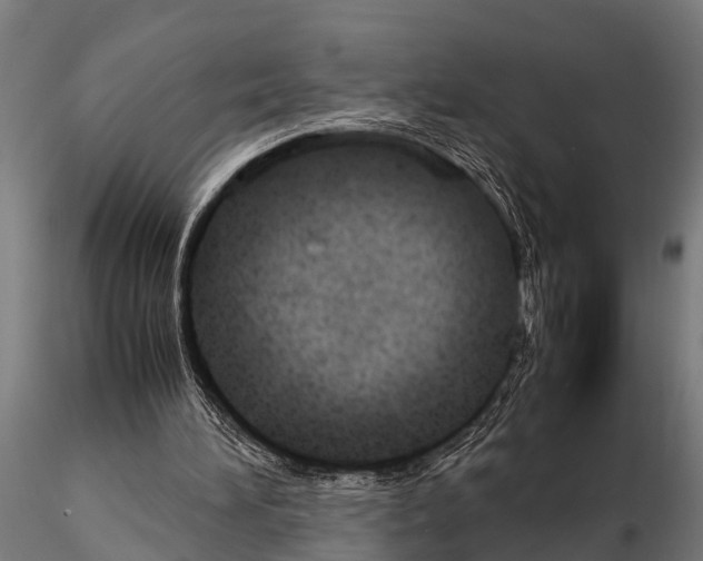 X0000115210196200912091205