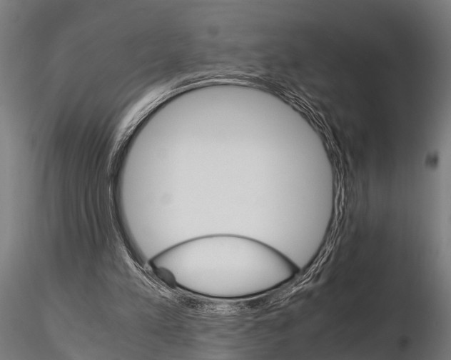 X0000115210197200912091205