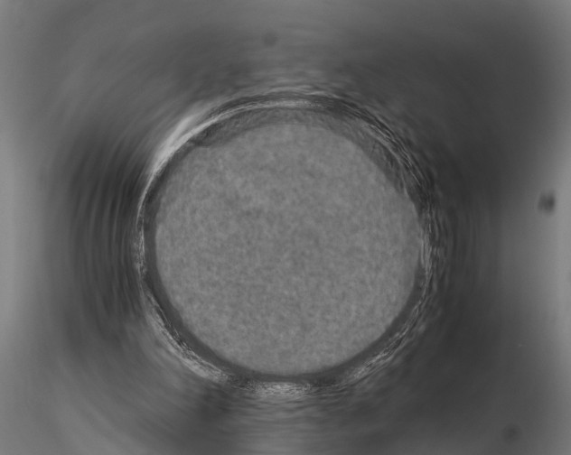 X0000115210198200912091205