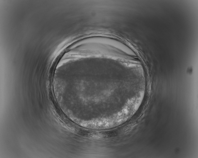 X0000115210199200912091205