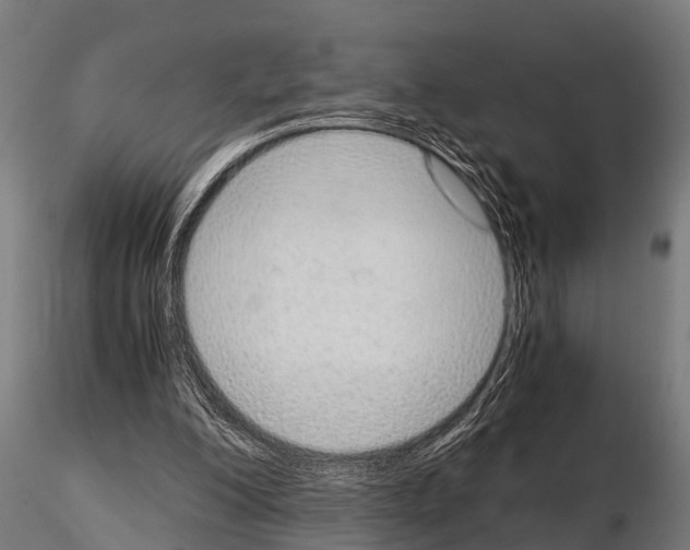 X0000115210200200912091205