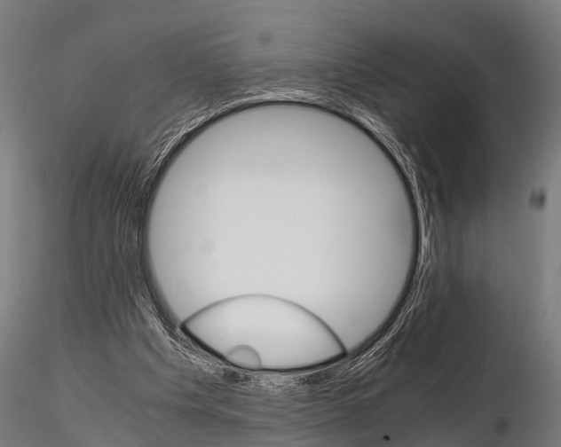 X0000115210201200912091205