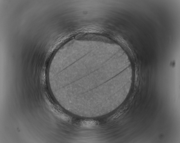 X0000115210202200912091205