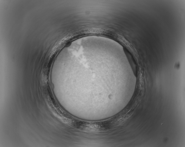 X0000115210203200912091205