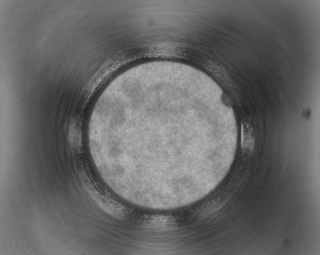 X0000115210204200912091205