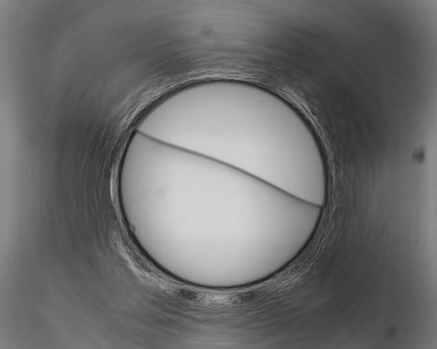 X0000115210205200912091205