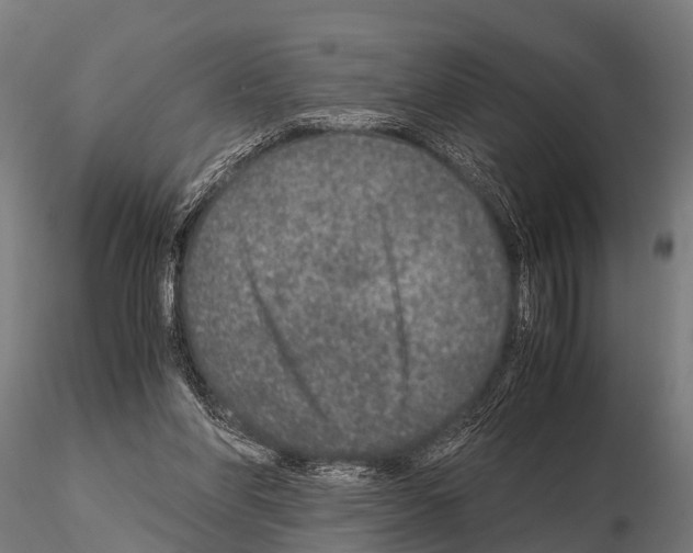 X0000115210206200912091205