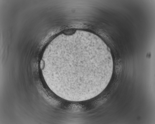 X0000115210207200912091205