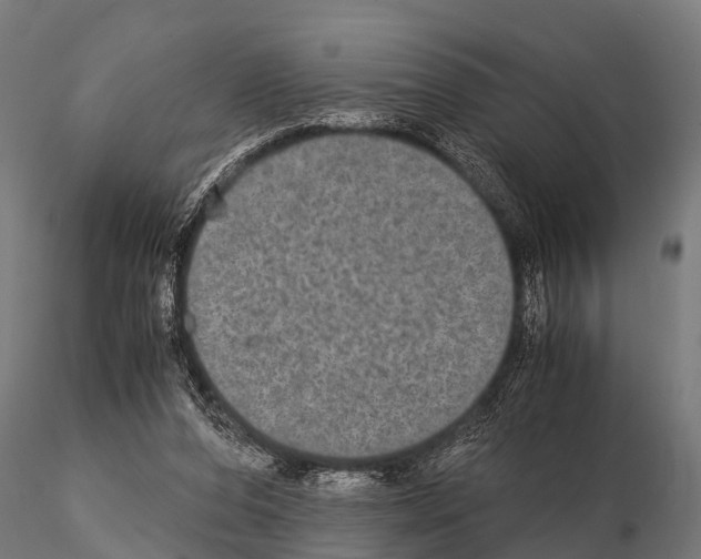 X0000115210208200912091205