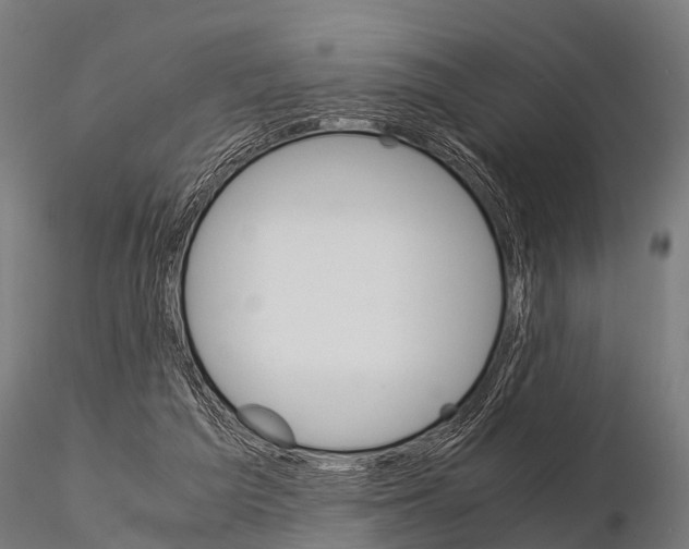 X0000115210209200912091205