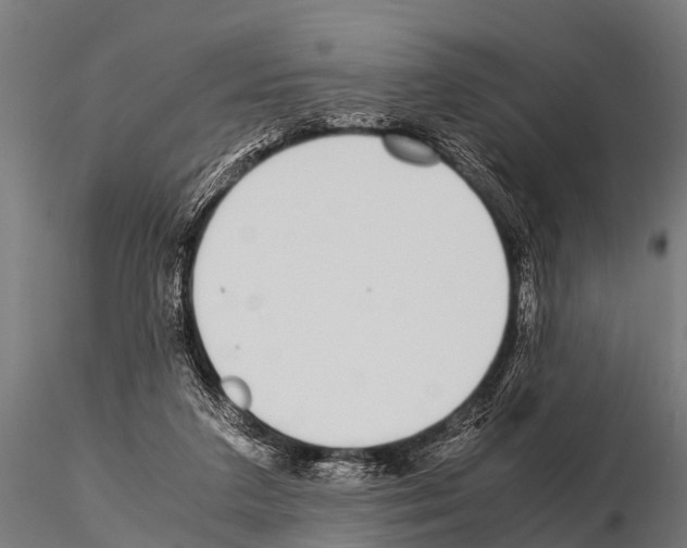 X0000115210211200912091205